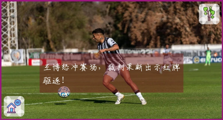 王博怒冲赛场，裁判果断出示红牌驱逐！