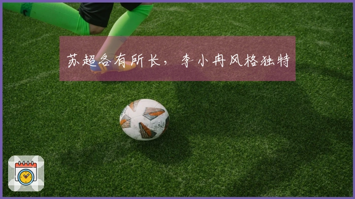苏超各有所长，李小冉风格独特