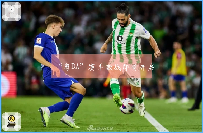 “粤BA”赛季激战即将开启